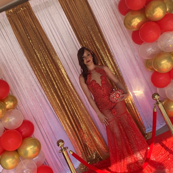 Prom dress - Picture 4 of 9